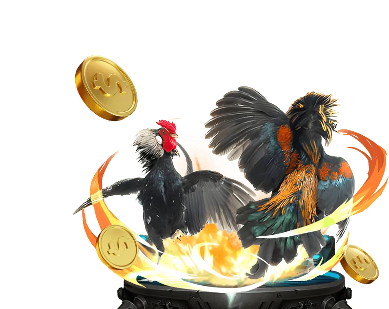 Các bước tham gia và thăng cấp chương trình VIP tại zalv777 casino